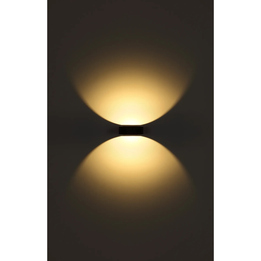Globo - LED udendørs væglampe LED/6W/230V IP54