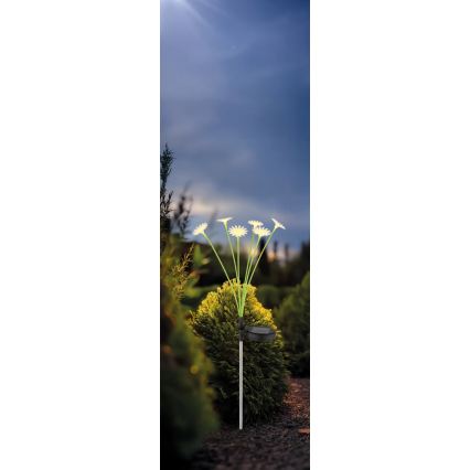 Globo - LED-solcellelampe 6xLED/3V IP44 600 mAh blomstformet