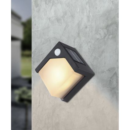 Globo - LED solcellelampe med sensor LED/0,48W/3V IP44 600 mAh
