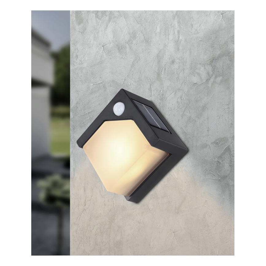 Globo - LED solcellelampe med sensor LED/0,48W/3V IP44 600 mAh