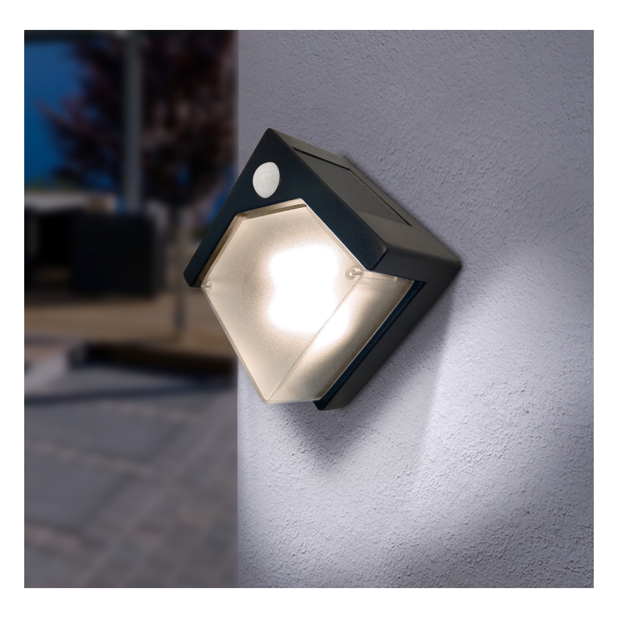 Globo - LED solcellelampe med sensor LED/0,48W/3V IP44 600 mAh