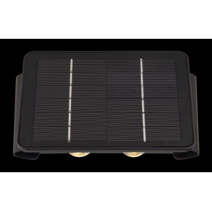Globo - LED Solcellelampe LED/1W/3,2V 3000K IP54