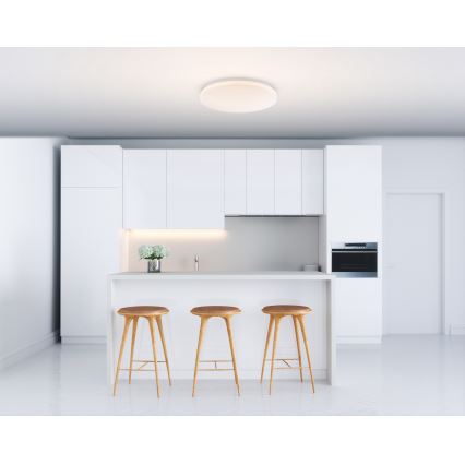 Globo - LED loftsbelysning 1xLED/20W/230V