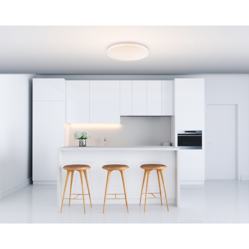 Globo - LED loftsbelysning 1xLED/20W/230V