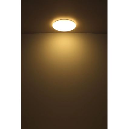 Globo - LED loftlampe LED/24W/230V diameter 49,5 cm hvid
