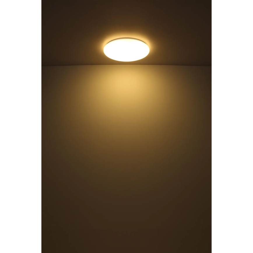 Globo - LED loftlampe LED/24W/230V diameter 49,5 cm hvid