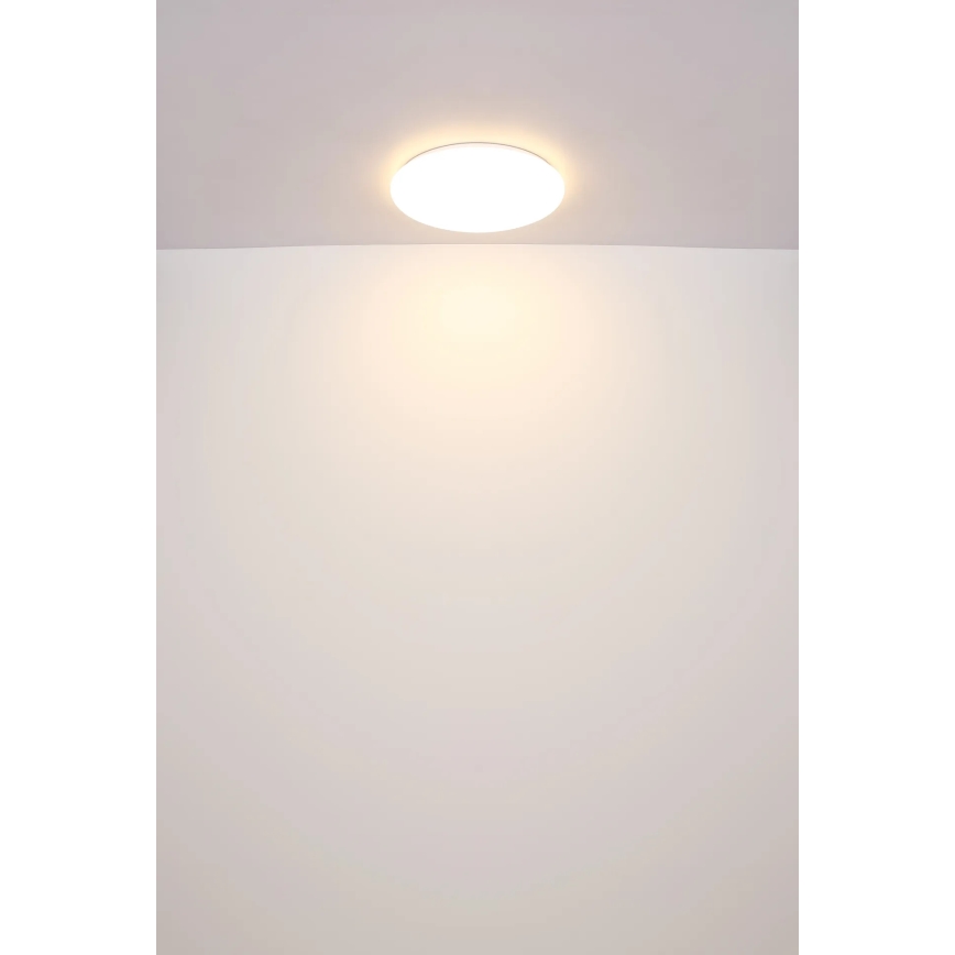 Globo - LED loftlampe LED/24W/230V diameter 49,5 cm hvid