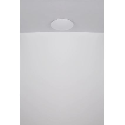Globo - LED loftlampe LED/24W/230V diameter 49,5 cm hvid