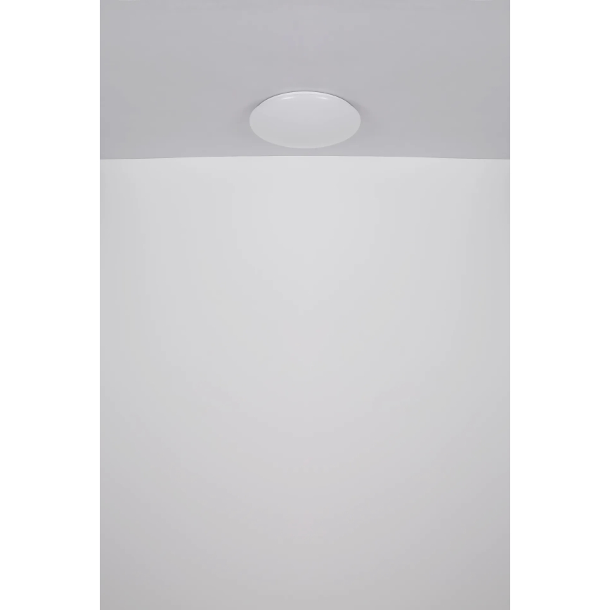 Globo - LED loftlampe LED/24W/230V diameter 49,5 cm hvid