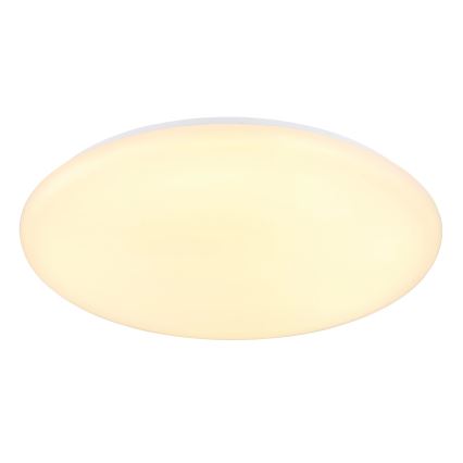 Globo - LED loftlampe LED/24W/230V diameter 49,5 cm hvid