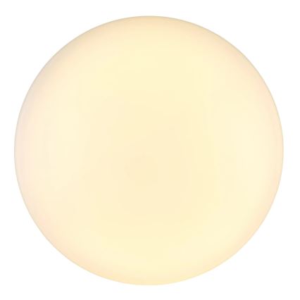 Globo - LED loftlampe LED/24W/230V diameter 49,5 cm hvid