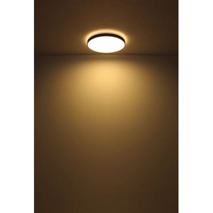 Globo - LED loftlampe LED/24W/230V diameter 48 cm antracit
