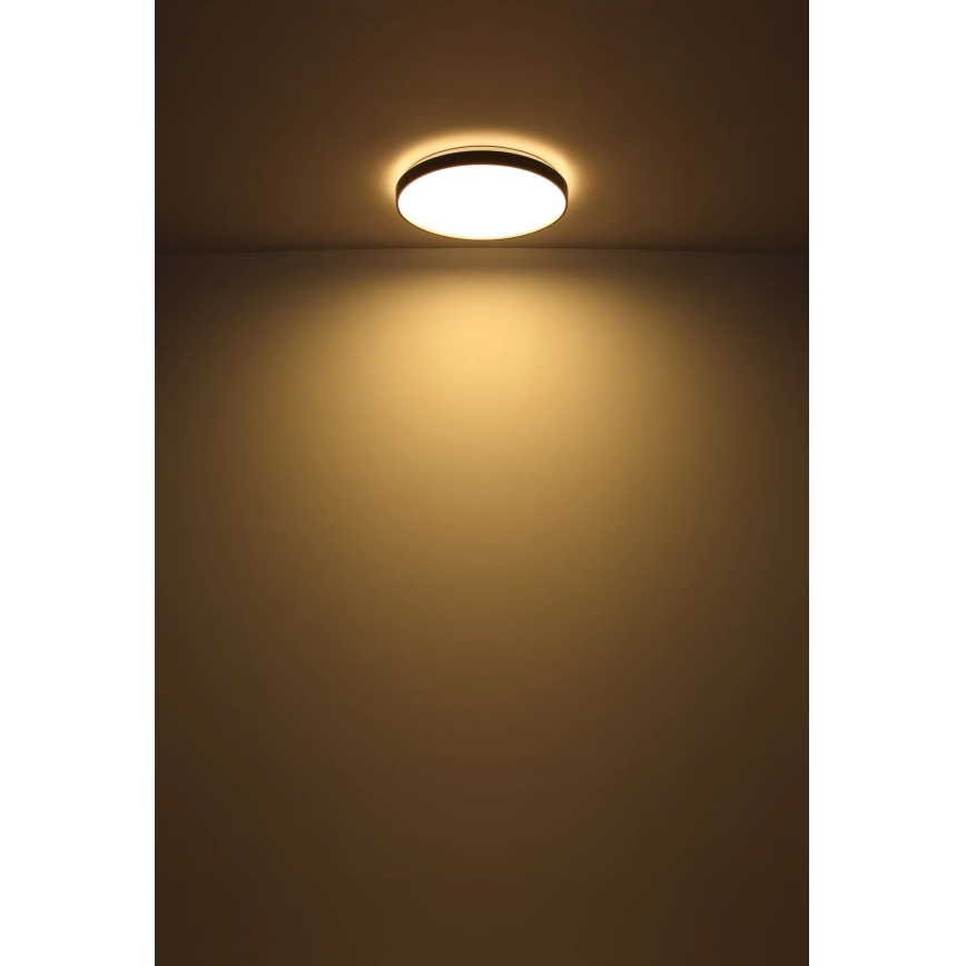 Globo - LED loftlampe LED/24W/230V diameter 48 cm antracit