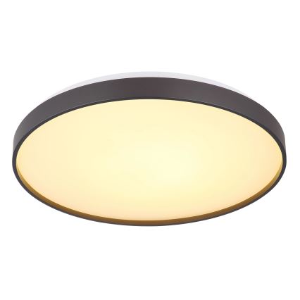 Globo - LED loftlampe LED/24W/230V diameter 48 cm antracit