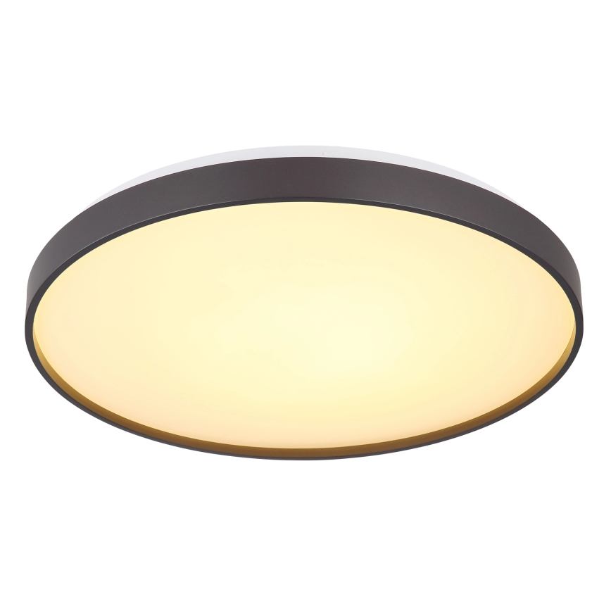 Globo - LED loftlampe LED/24W/230V diameter 48 cm antracit