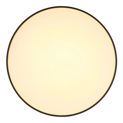 Globo - LED loftlampe LED/24W/230V diameter 48 cm antracit