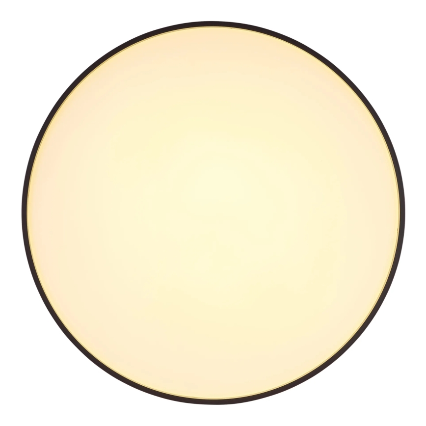 Globo - LED loftlampe LED/24W/230V diameter 48 cm antracit
