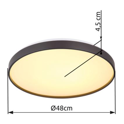 Globo - LED loftlampe LED/24W/230V diameter 48 cm antracit