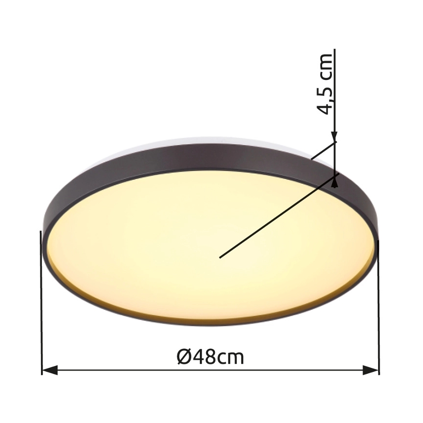 Globo - LED loftlampe LED/24W/230V diameter 48 cm antracit