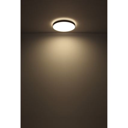 Globo - LED loftlampe LED/24W/230V