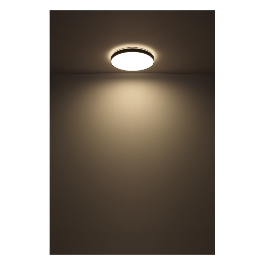 Globo - LED loftlampe LED/24W/230V