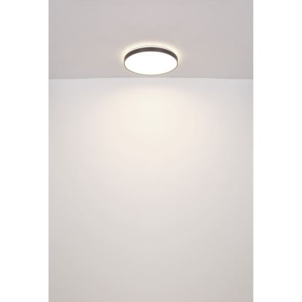 Globo - LED loftlampe LED/24W/230V