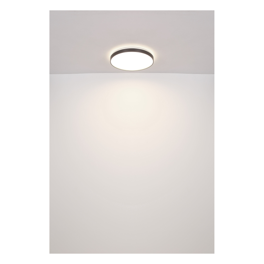 Globo - LED loftlampe LED/24W/230V
