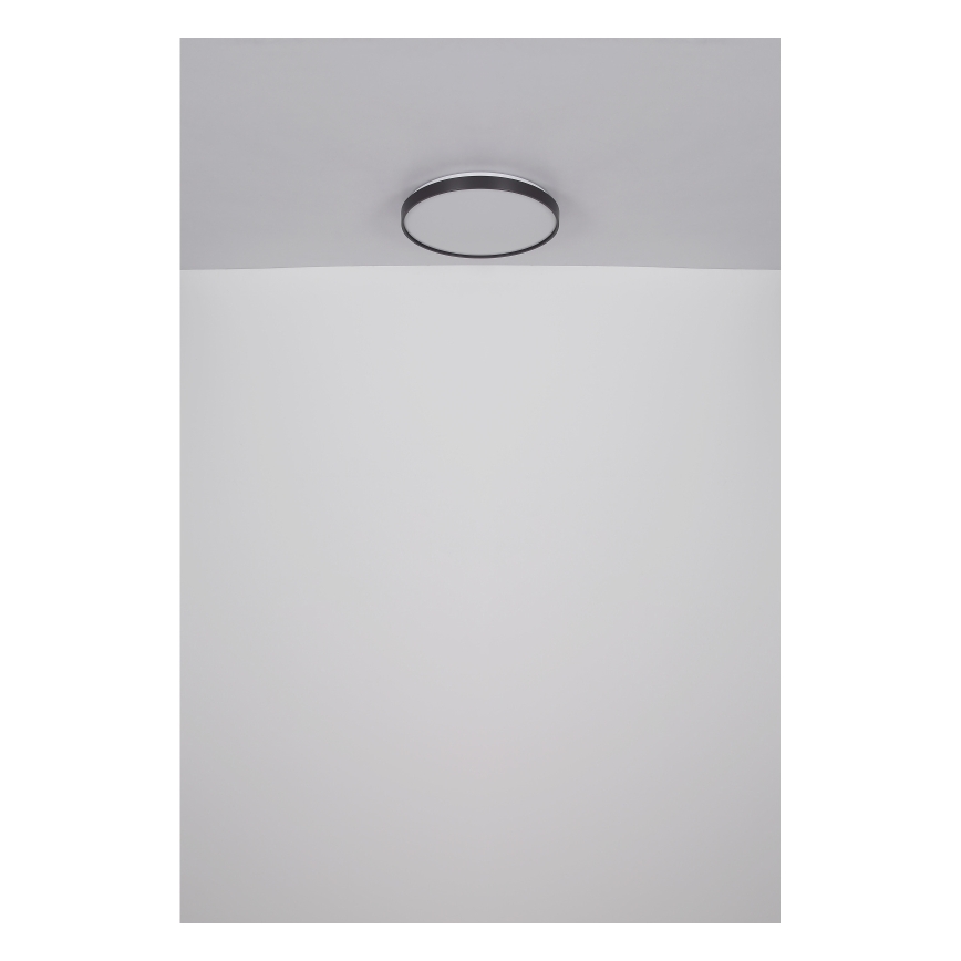 Globo - LED loftlampe LED/24W/230V