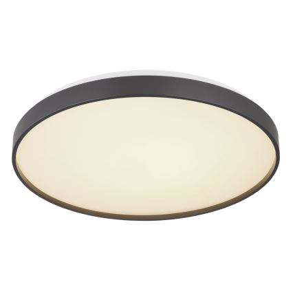 Globo - LED loftlampe LED/24W/230V
