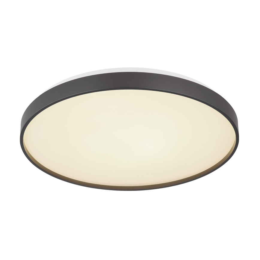 Globo - LED loftlampe LED/24W/230V