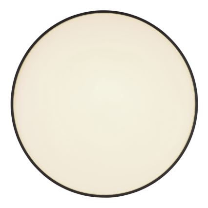 Globo - LED loftlampe LED/24W/230V