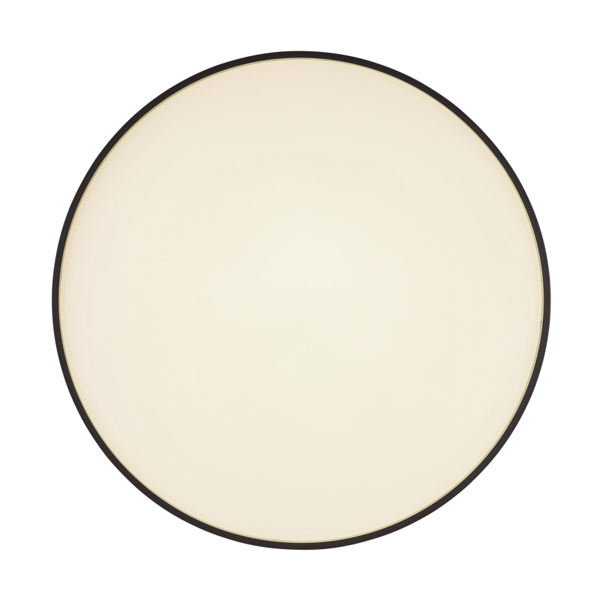 Globo - LED loftlampe LED/24W/230V