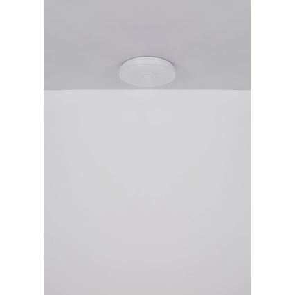 Globo - LED loftlampe LED/24W/230V diameter 38 cm 3000K hvid