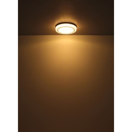 Globo - LED loftlampe LED/24W/230V diameter 40 cm 3000K hvid