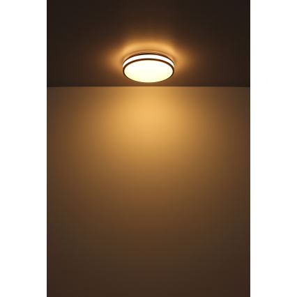 Globo - LED loftlampe dæmpbar RGB-farver LED/18W/230V 2700-6500K + fjernbetjening