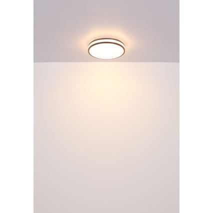 Globo - LED loftlampe dæmpbar RGB-farver LED/18W/230V 2700-6500K + fjernbetjening