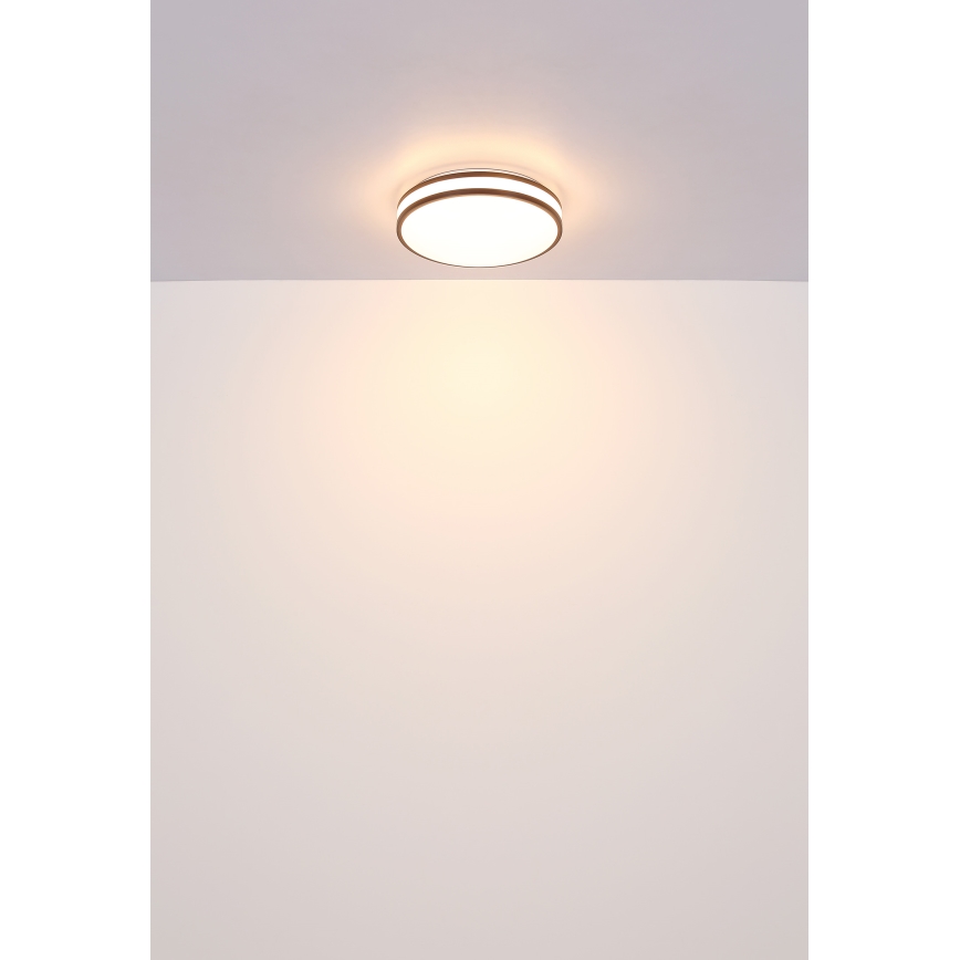 Globo - LED loftlampe dæmpbar RGB-farver LED/18W/230V 2700-6500K + fjernbetjening
