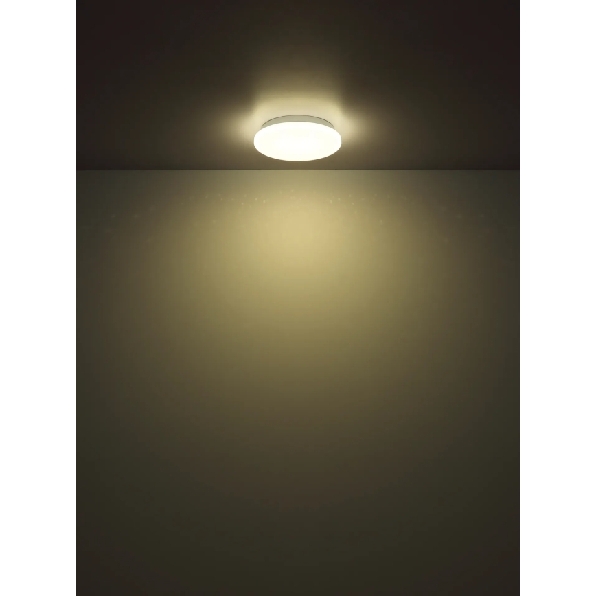 Globo - LED-loftlampe LED/8W/230V 4000K Ø 55 cm