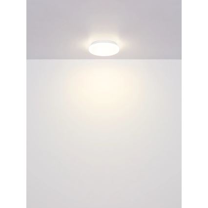 Globo - LED-loftlampe LED/8W/230V 4000K Ø 55 cm