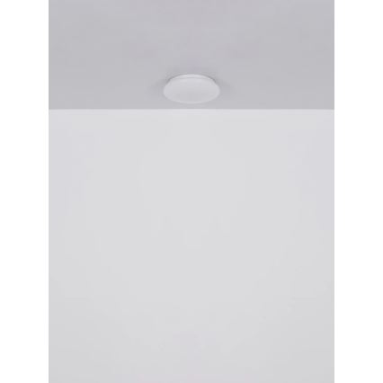 Globo - LED-loftlampe LED/8W/230V 4000K Ø 55 cm