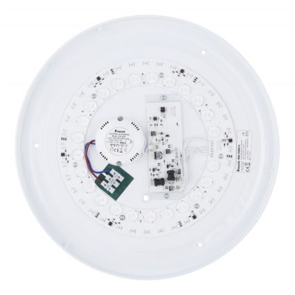 Globo - Loftlampe m. RGBW-farver dæmpbar LED/24W/230V 3000-6500K+ fjernbetjening