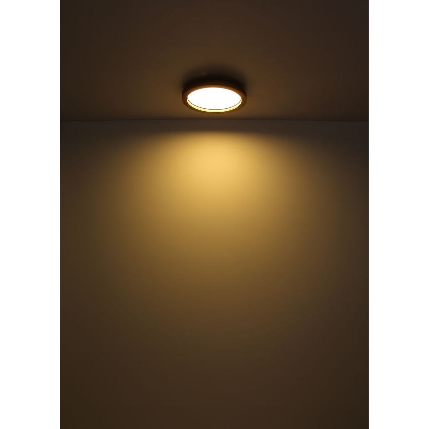 Globo - LED loftlampe m. RGBW-farver dæmpbar LED/24W/230V 2700-6000K + fjernbetjening