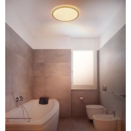 Globo - LED loftlampe til badeværelse dæmpbar LED/18W/230V 3000K IP44 diameter 29,4 cm messing