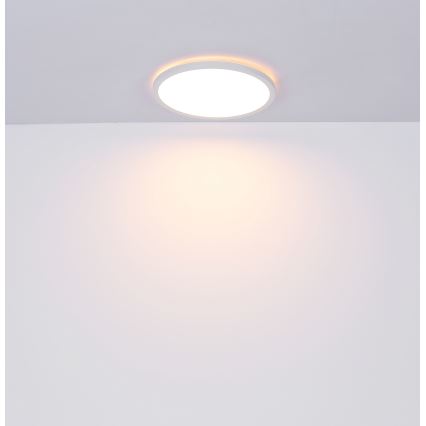 Globo - LED loftlampe til badeværelse dæmpbar LED/18W/230V diameter 29,4 cm IP44 hvid