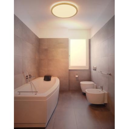 Globo - LED loftlampe til badeværelse dæmpbar LED/24W/230V 3000K IP44 diameter 42 cm messin