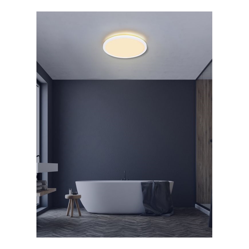Globo - LED loftlampe til badeværelse dæmpbar LED/24W/230V diameter 42 cm IP44 hvid