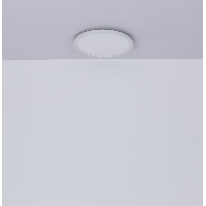 Globo - LED loftlampe til badeværelse dæmpbar LED/24W/230V diameter 42 cm IP44 hvid