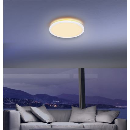 Globo - LED loftlampe til badeværelse dæmpbar LED/24W/230V diameter 42 cm IP44 hvid