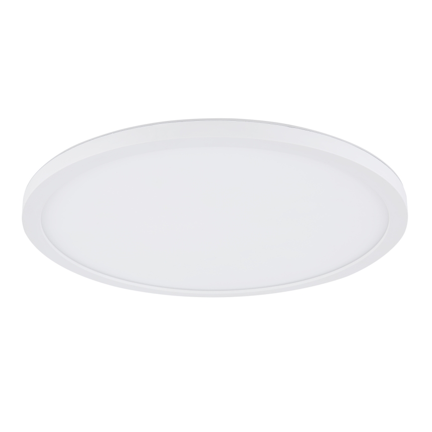 Globo - LED loftlampe til badeværelse dæmpbar LED/24W/230V diameter 42 cm IP44 hvid