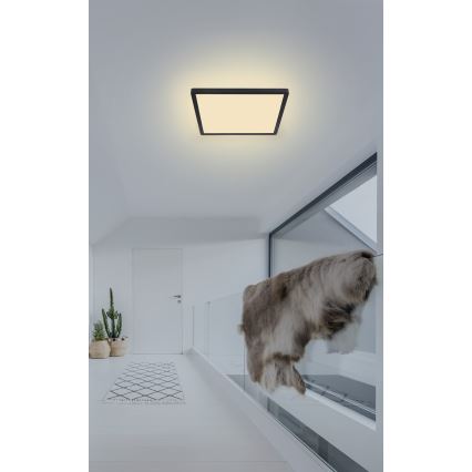 Globo - LED loftlampe til badeværelse dæmpbar LED/18W/230V 29,4x29,4 cm IP44 sort